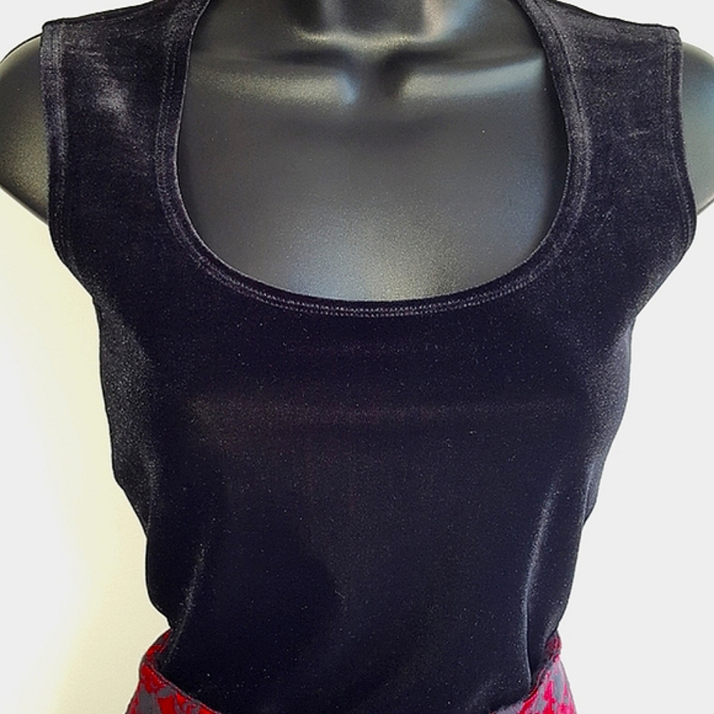 Velvet Scoopneck Vintage Dress Top ⭐️⭐️